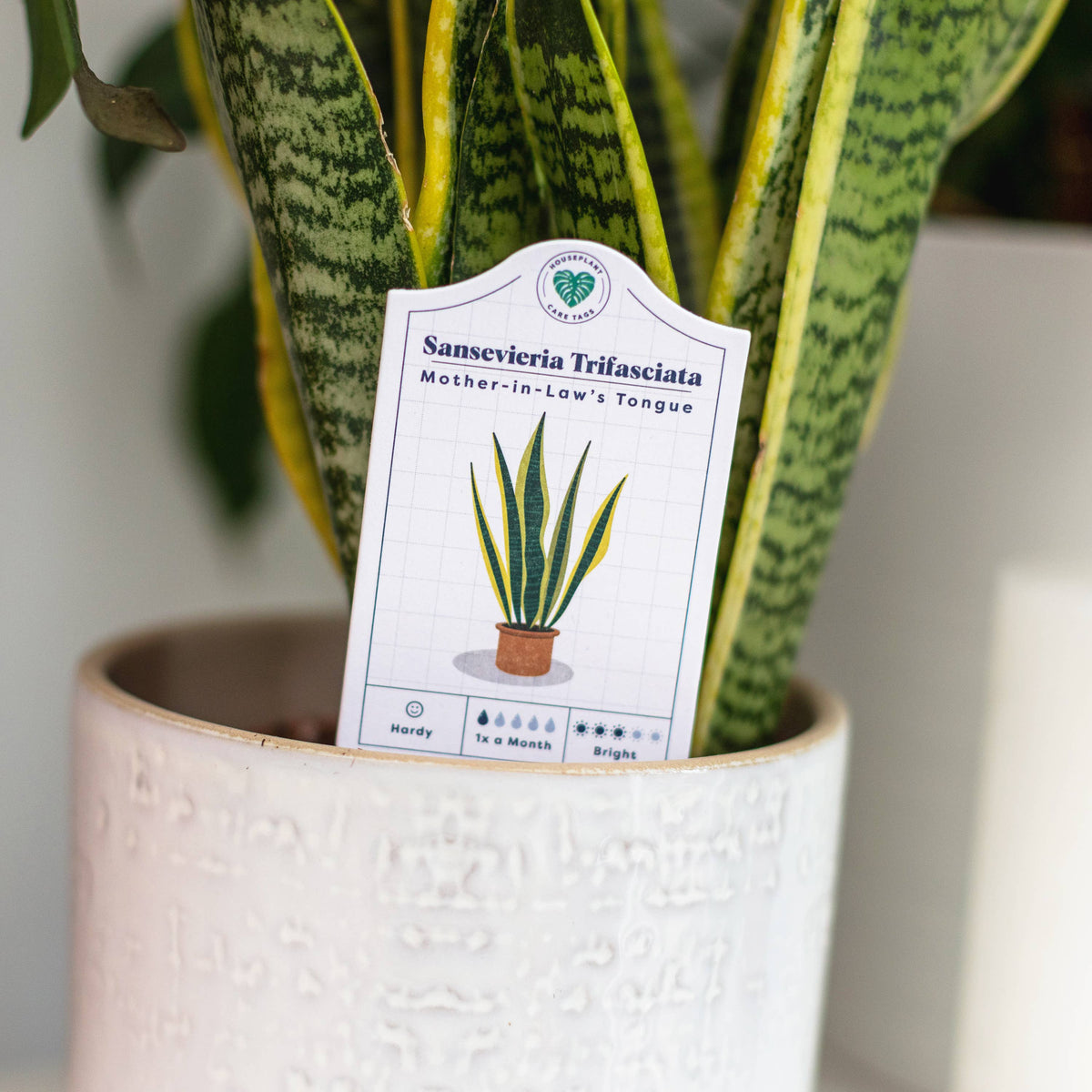 Houseplant Care Tags