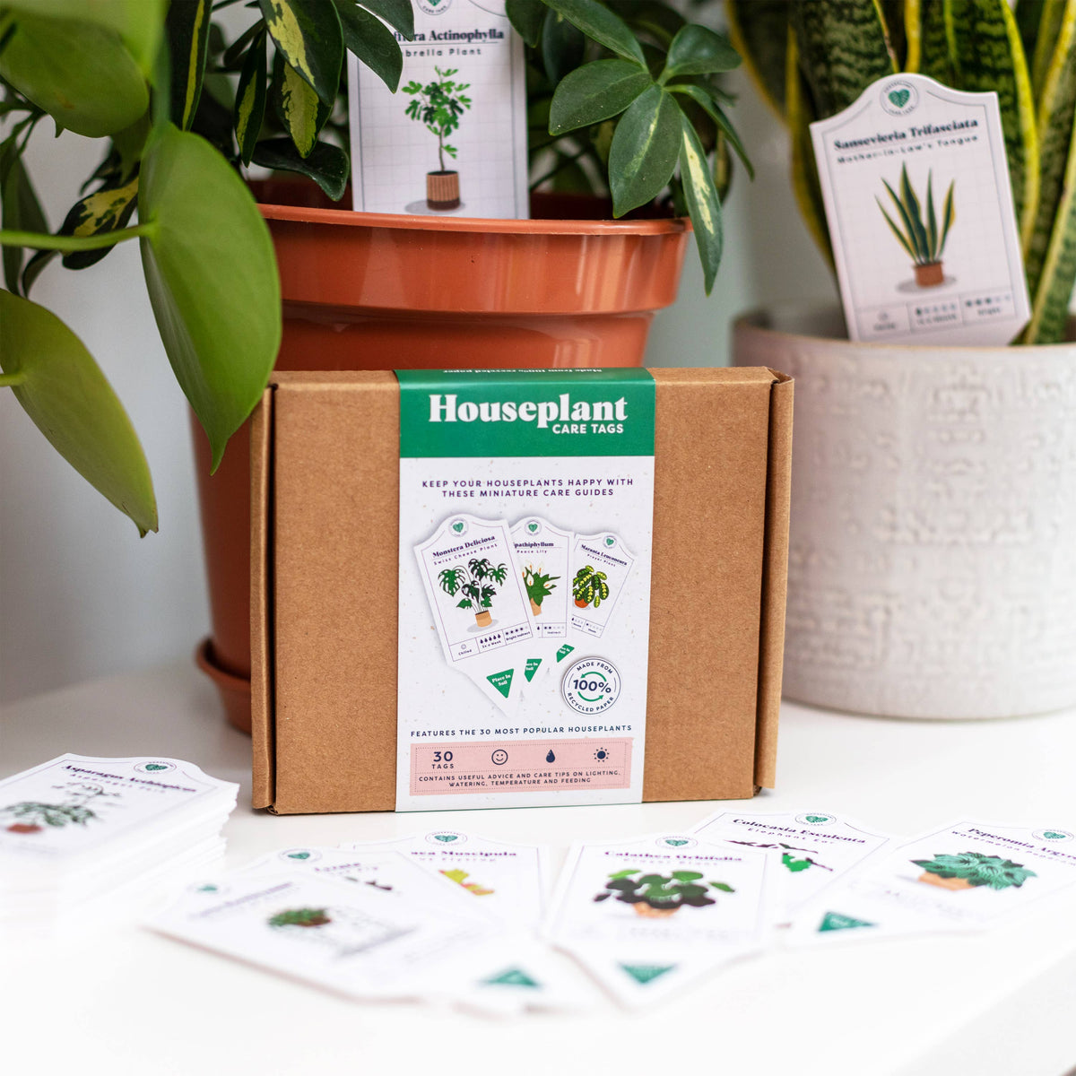 Houseplant Care Tags