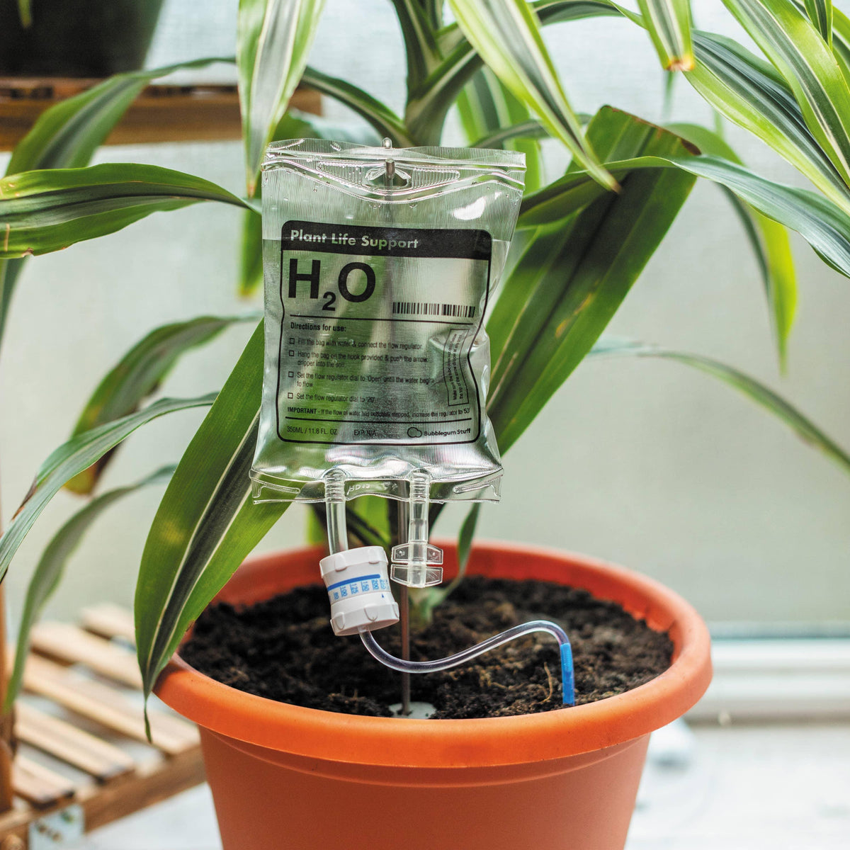 Plant Life Support Houseplant Watering Device - Village Floral Designs and Gifts